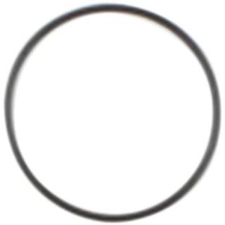 O-RING STARTER BIG TWIN