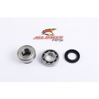 ALL-BALLS Bearing&seal kit