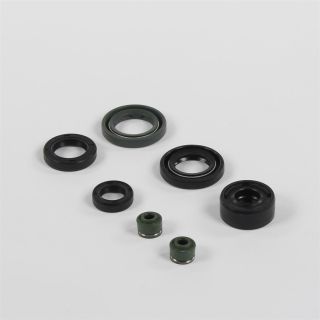 Õlitihendi komplekt 150cc/160cc YX