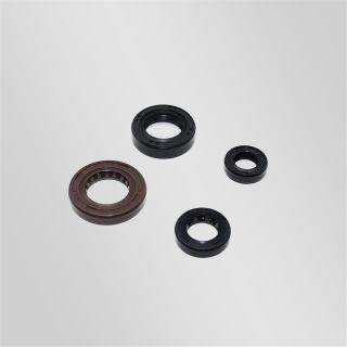 Õlitihendi komplekt 190cc Zongshen