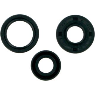 OIL SEALS-ATC/TRX250