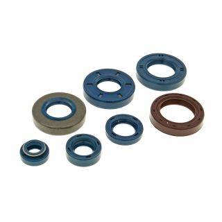 Mootori õlitihendite komplekt - Minarelli AM