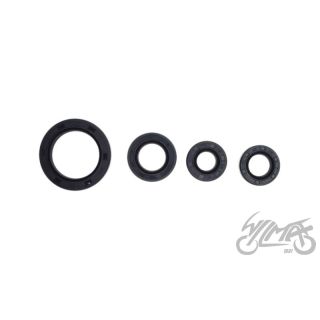 Simmerlingid (õlitihendid) ATV200 LONCIN (4TK)