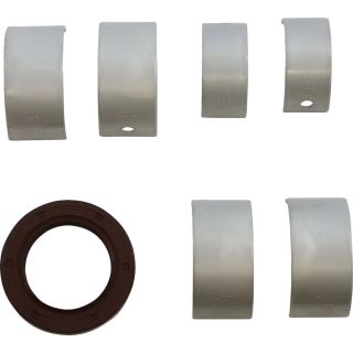 MAIN BRG SEAL KIT CAN AM
